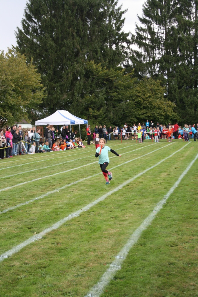 Bild 1 (142)